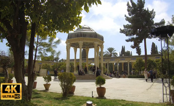 راش حافظیه