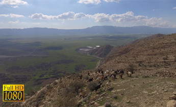 تصاویر ویدیویی ایران