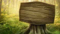 عکس شکل درخت تابلو تبلیغاتی در جنگل