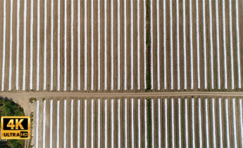 فیلم هوایی از زمین های کشاورزی