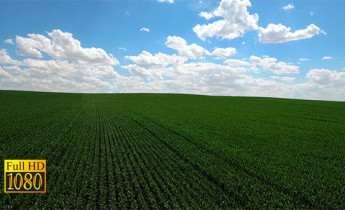 فیلم هوایی منظره و کشاورزی