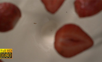 فوتیج ویدیویی اسلوموشن توت فرنگی و شیر