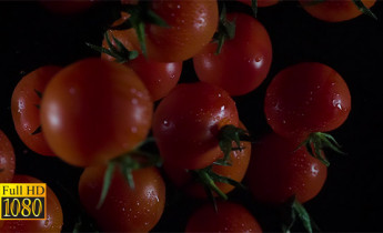 فوتیج ویدیویی اسلوموشن گوجه فرنگی