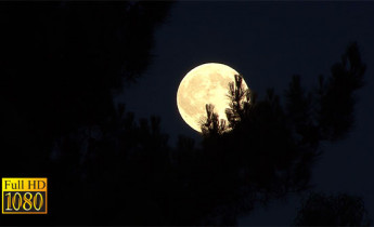 فوتیج ویدیویی از نمای کامل ماه