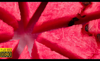فوتیج ویدیویی میوه هندوانه