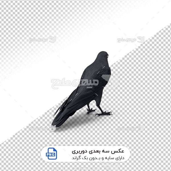 عکس برش خورده سه بعدی کبوتر سیاه