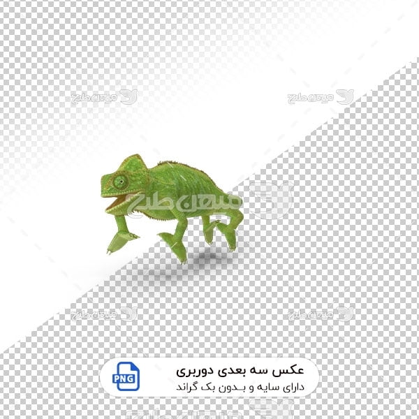 عکس برش خورده سه بعدی آفتاب پرست درختی