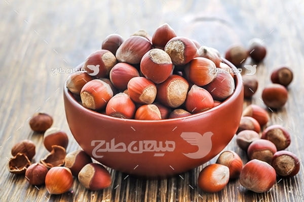 عکس تبلیغاتی فندق