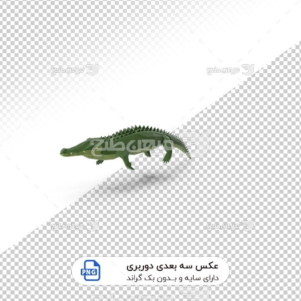 عکس برش خورده سه بعدی تمساح سبز