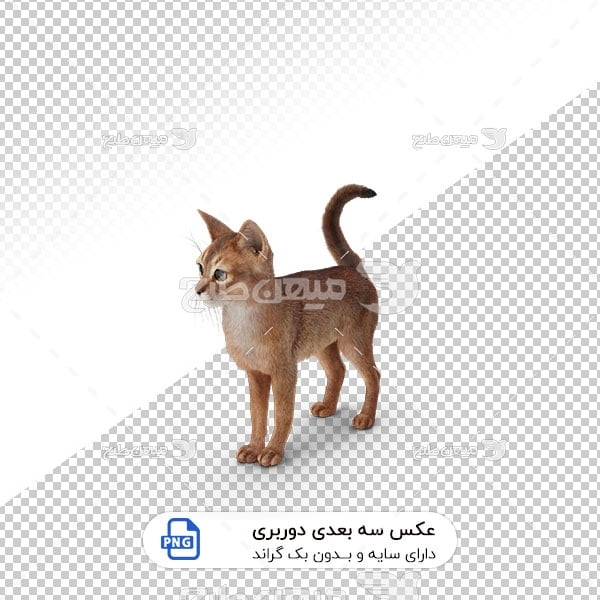 عکس برش خورده سه بعدی گربه ملوس
