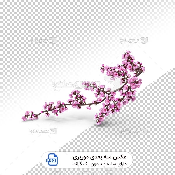 عکس شاخه گل