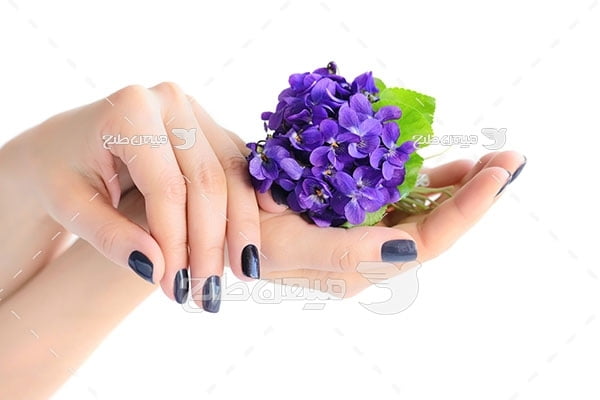 عکس گل در دست