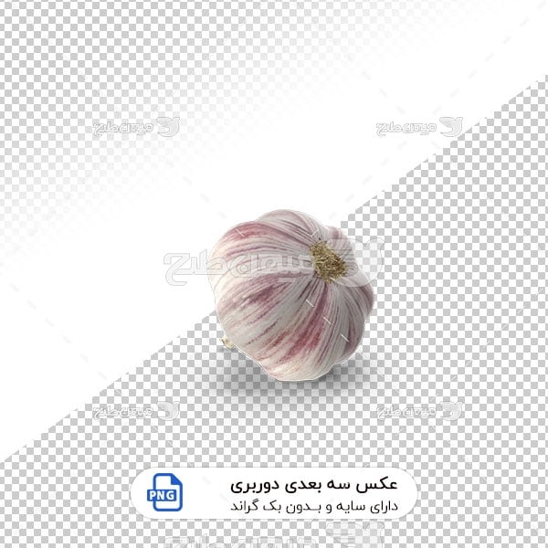 عکس برش خورده سه بعدی سیر