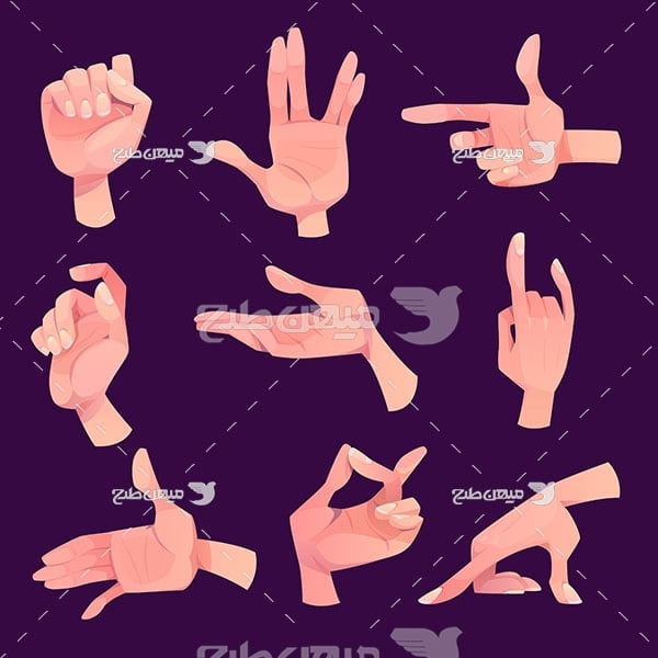 وکتور اشاره با دست