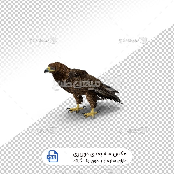 عکس برش خورده سه بعدی عقاب
