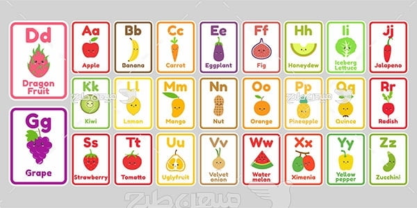 وکتور تبلیغاتی تمرین حروف با عکس میوه