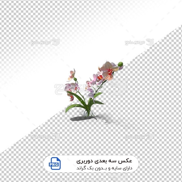 عکس برش خورده سه بعدی گل بهاری