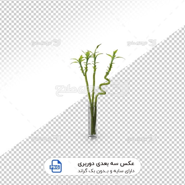 عکس برش خورده سه بعدی گل سبز