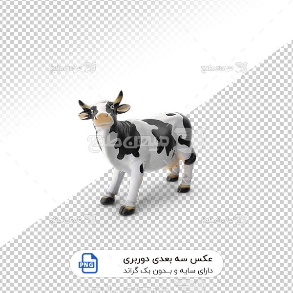 عکس برش خورده سه بعدی گاو سفید و سیاه