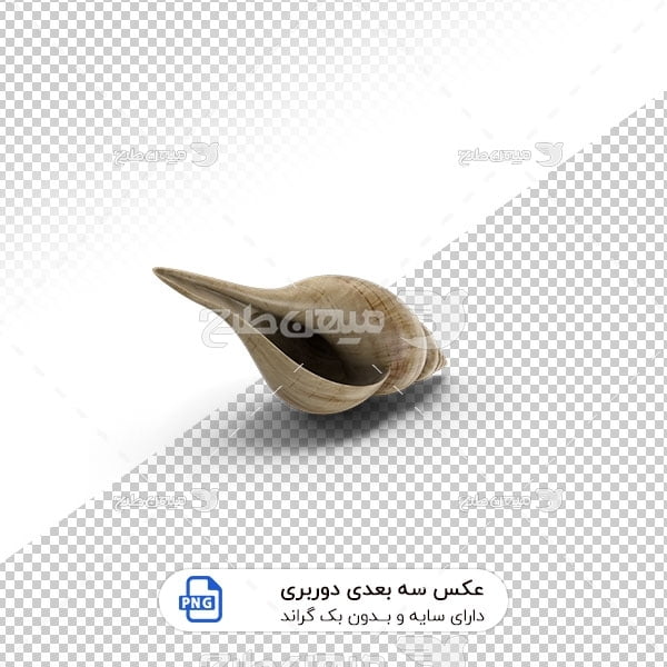 عکس برش خورده سه بعدی صدف