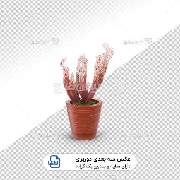 عکس برش خورده سه بعدی گل و گلدان