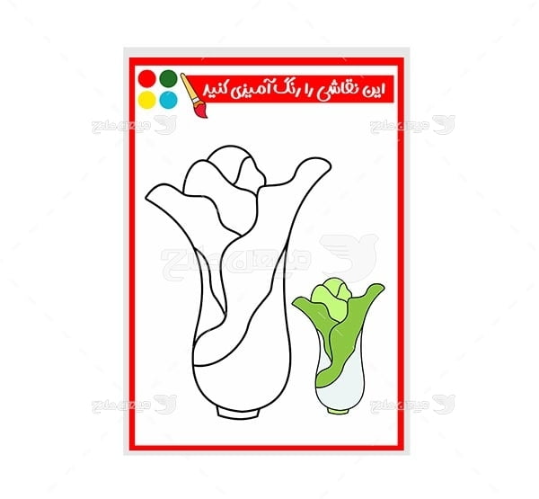 وکتور نقاشی و رنگ آمیزی کاهو