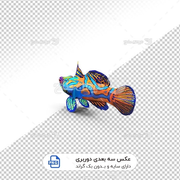 عکس برش خورده سه بعدی ماهی