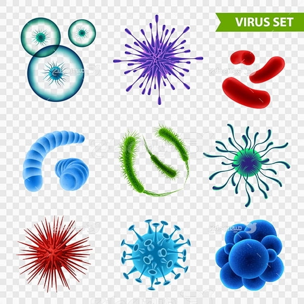 وکتور ویروس ها و باکتری ها