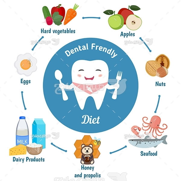 وکتور مواد غذایی مقوی دندان