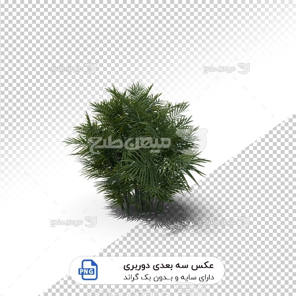 عکس برش خورده دوربری درختچه