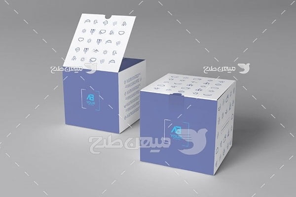 موکاپ جعبه بسته بندی کالا
