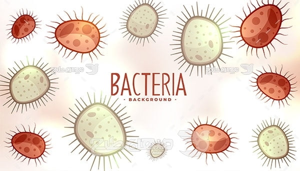 وکتور انواع باکتری