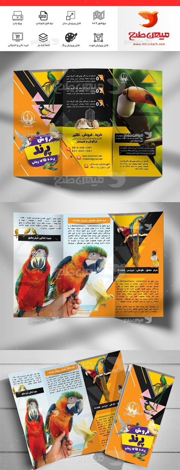 طرح لایه باز بروشور پرنده فروشی