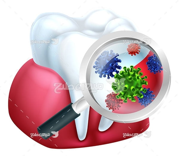 وکتور دندانپزشکی و باکتری دهان
