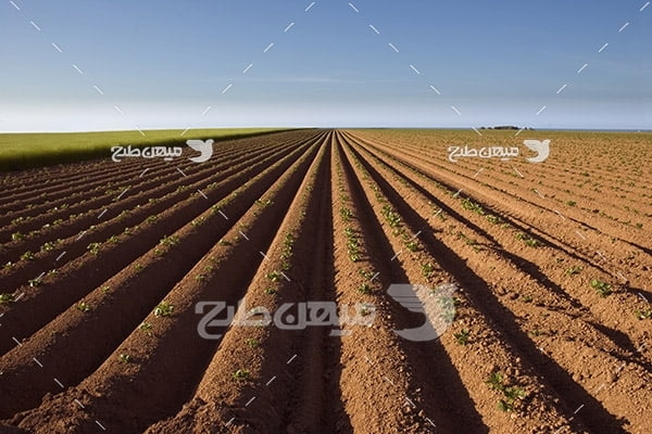 ﻿عکس کشاورزی