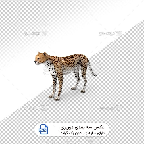 عکس برش خورده سه بعدی یوزپلنگ چیتا
