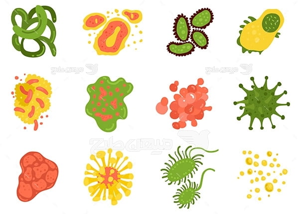 وکتور شکل ویروس و باکتری ها