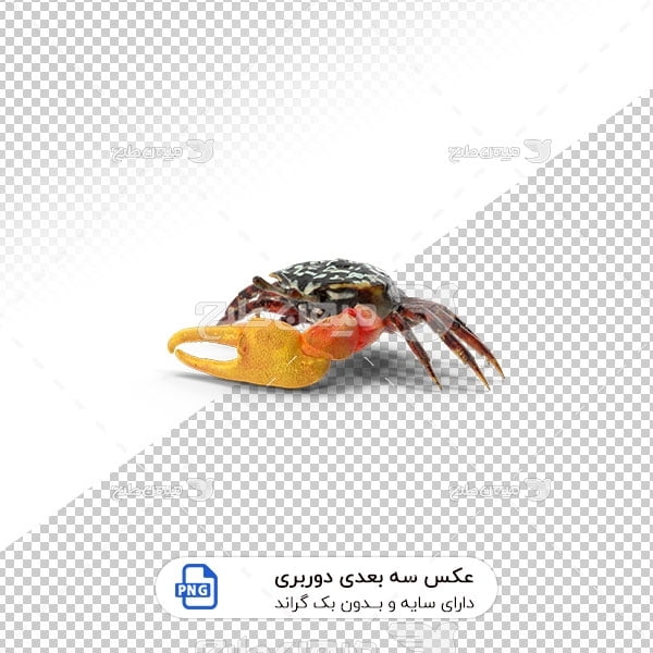 عکس برش خورده سه بعدی خرچنگ دریایی