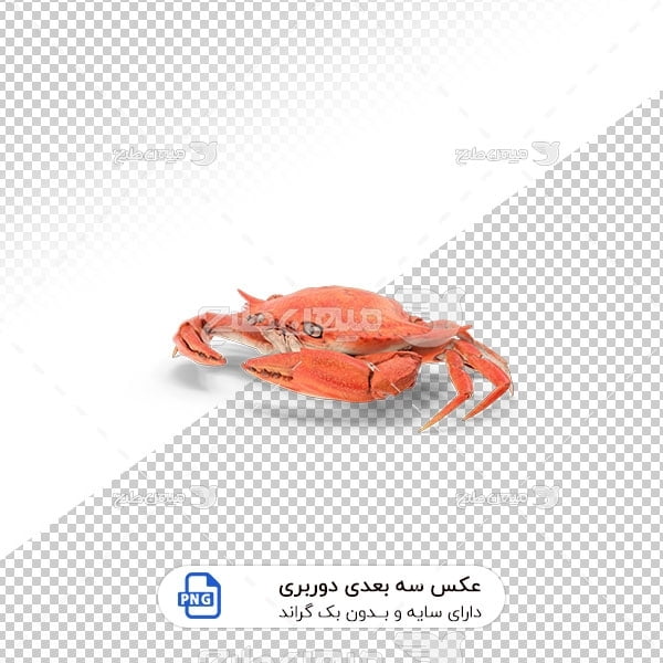 عکس برش خورده سه بعدی خرچنگ نارنجی