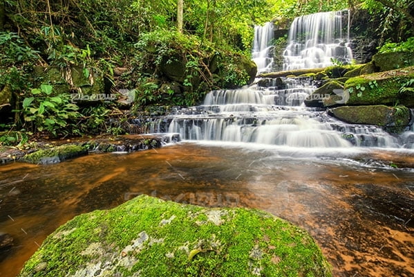 عکس تبلیغاتی طبیعت آبشار و جنگل