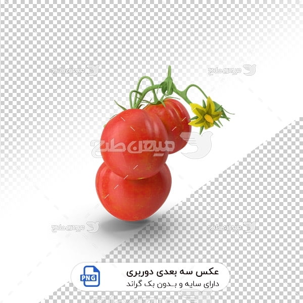 عکس گوجه