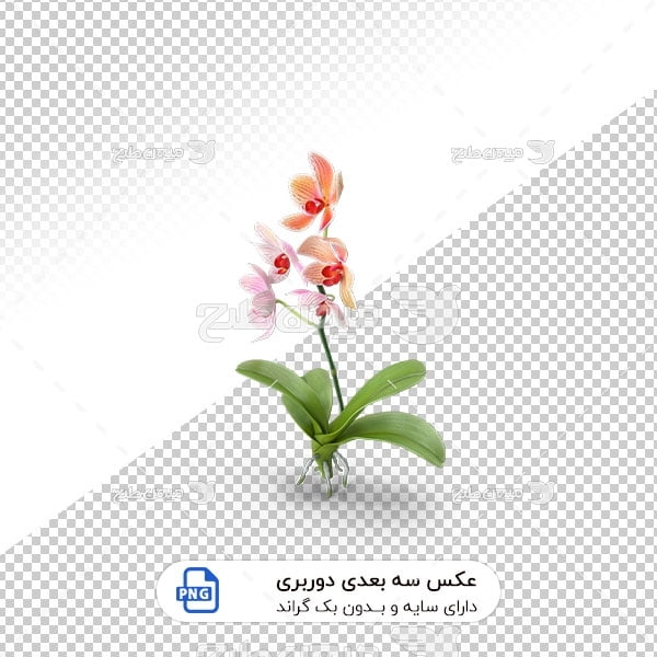 عکس برش خورده سه بعدی گل کاری