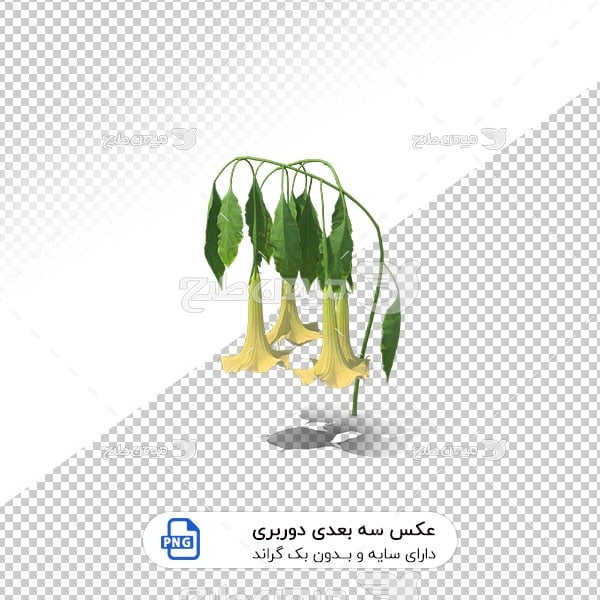 عکس برش خورده سه بعدی گل