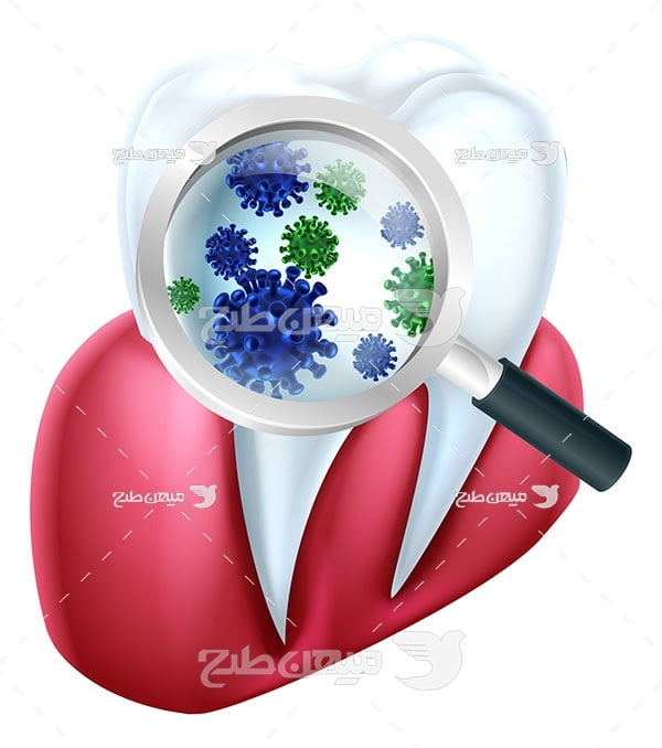 وکتور دندانپزشکی و میکروب دندان