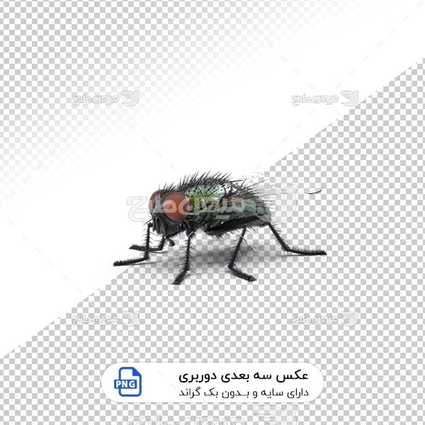 عکس برش خورده سه بعدی مگس