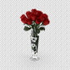 عکس گل و گلدان