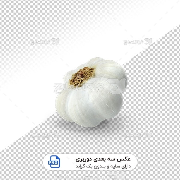 عکس برش خورده سه بعدی سیر