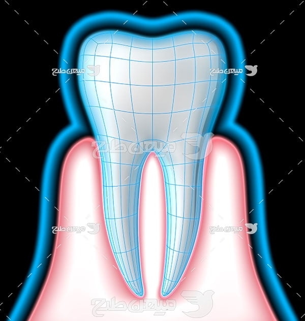 عکس تبلیغاتی پزشکی و ریشه دندان