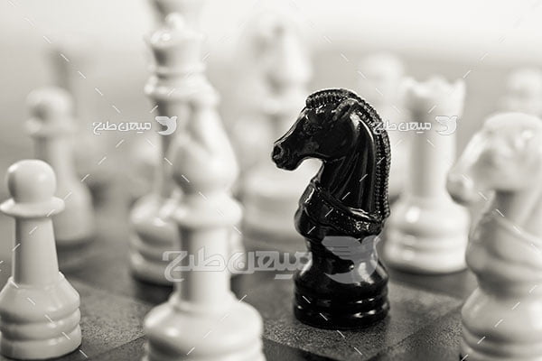 عکس مهره سفید شطرنج