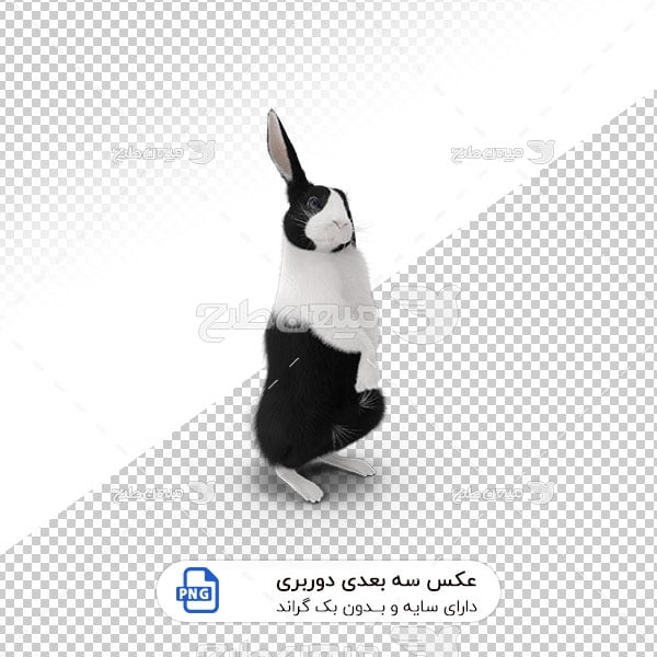 عکس برش خورده سه بعدی خرگوش سیاه و سفید